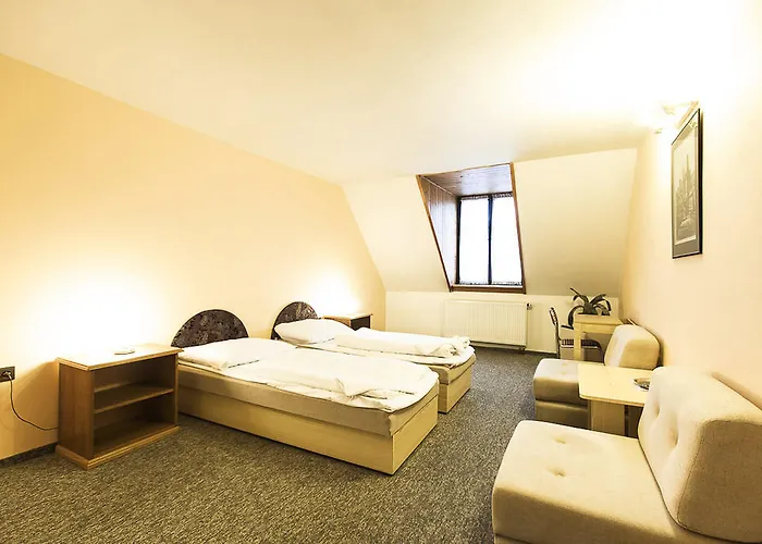 Gasthuis U Dvou Capu