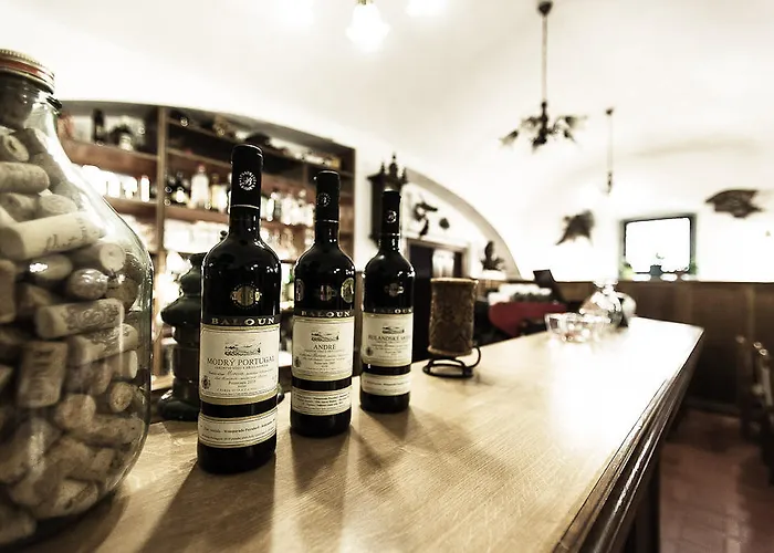 Gasthuis U Dvou Capu Chocerady